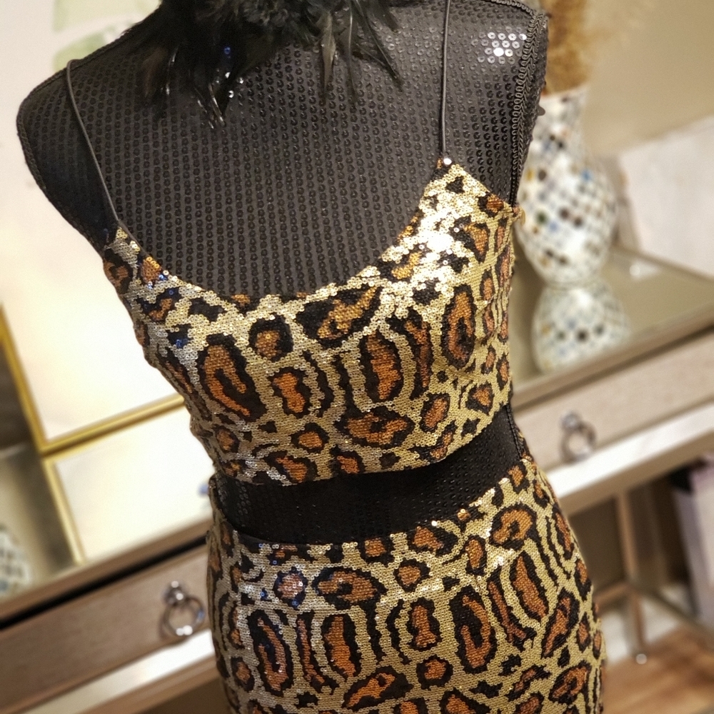 Fashion Nova 2 piece set